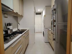 8 @ Mount Sophia (D9), Condominium #441474911